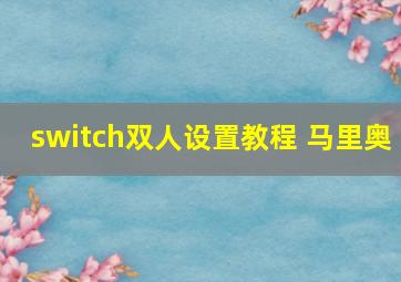 switch双人设置教程 马里奥